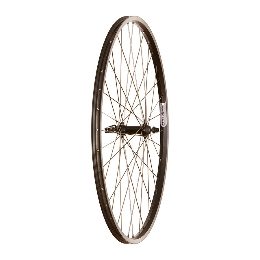 Roue, Avant, 700C / 622, Trous: 36, QR, 100mm, freins Sur jante Wheel Shop, Evo Tour 20,