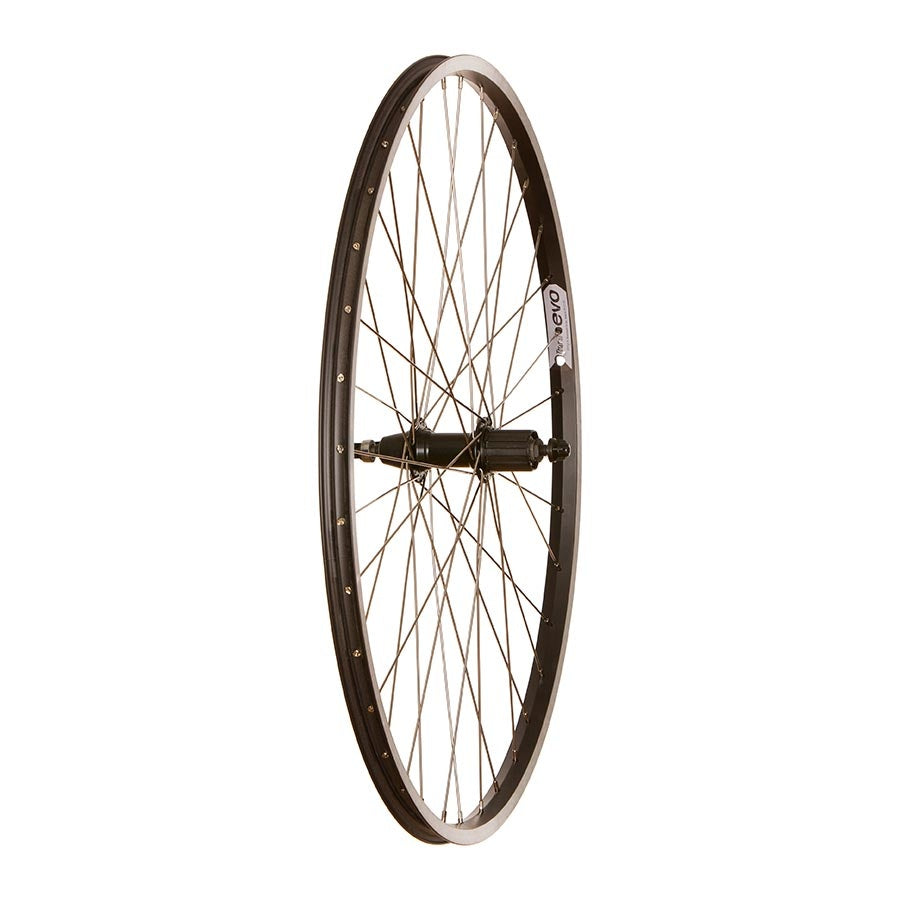 Wheel Shop, Evo Tour 20, Roue, Arrière, 700C / 622, Trous: 36, QR, 135mm, Sur jante, Shimano HG