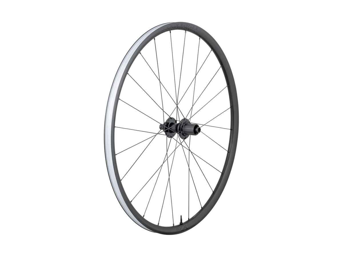 Roue Paradigm 23 TLR