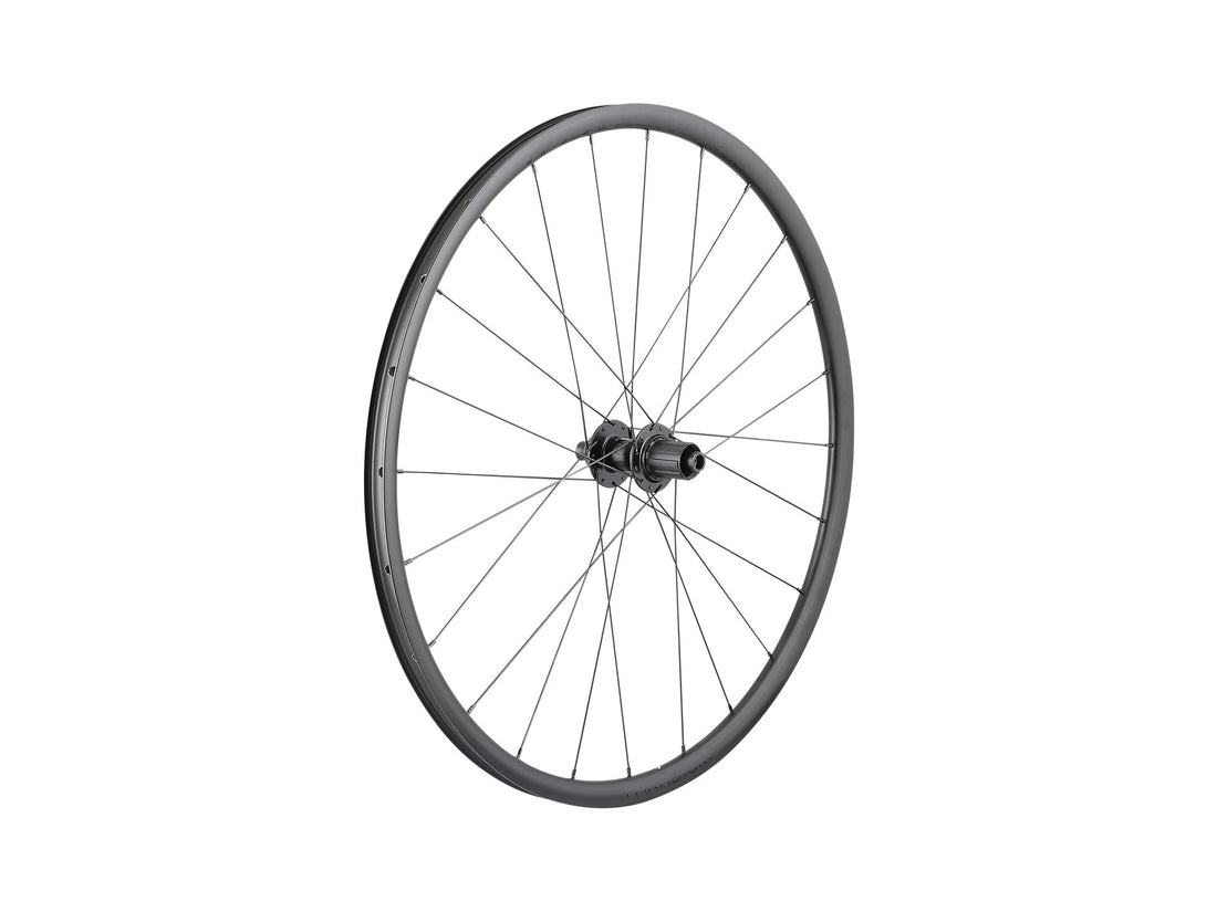 Roues Paradigm SL Centerlock Disc 24H 700c Road Wheel