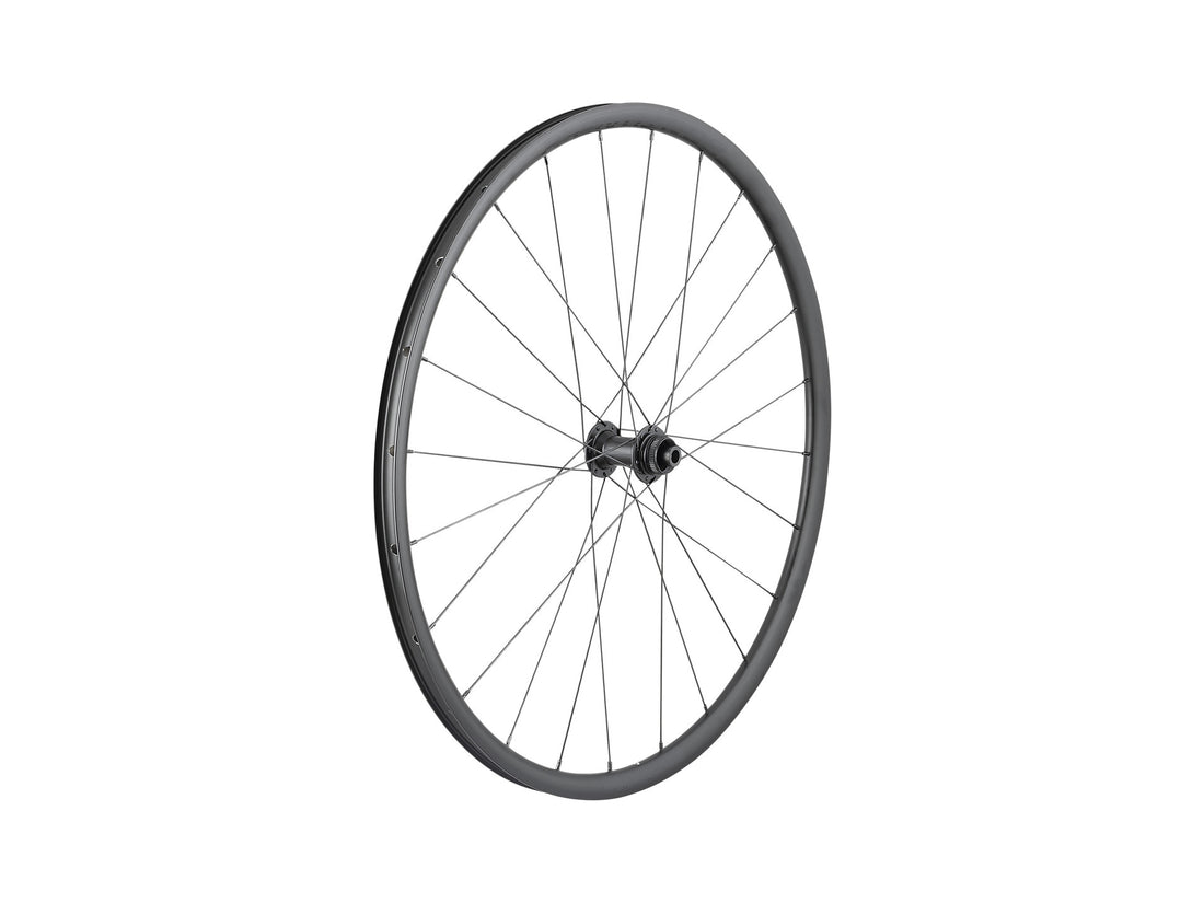 Roues Paradigm SL Centerlock Disc 24H 700c Road Wheel