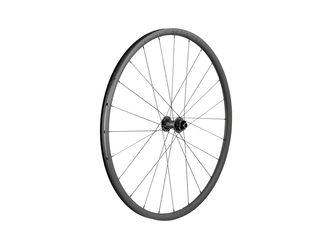 Roue Paradigm SL Centerlock Disc 24H Silver Nipples 700c