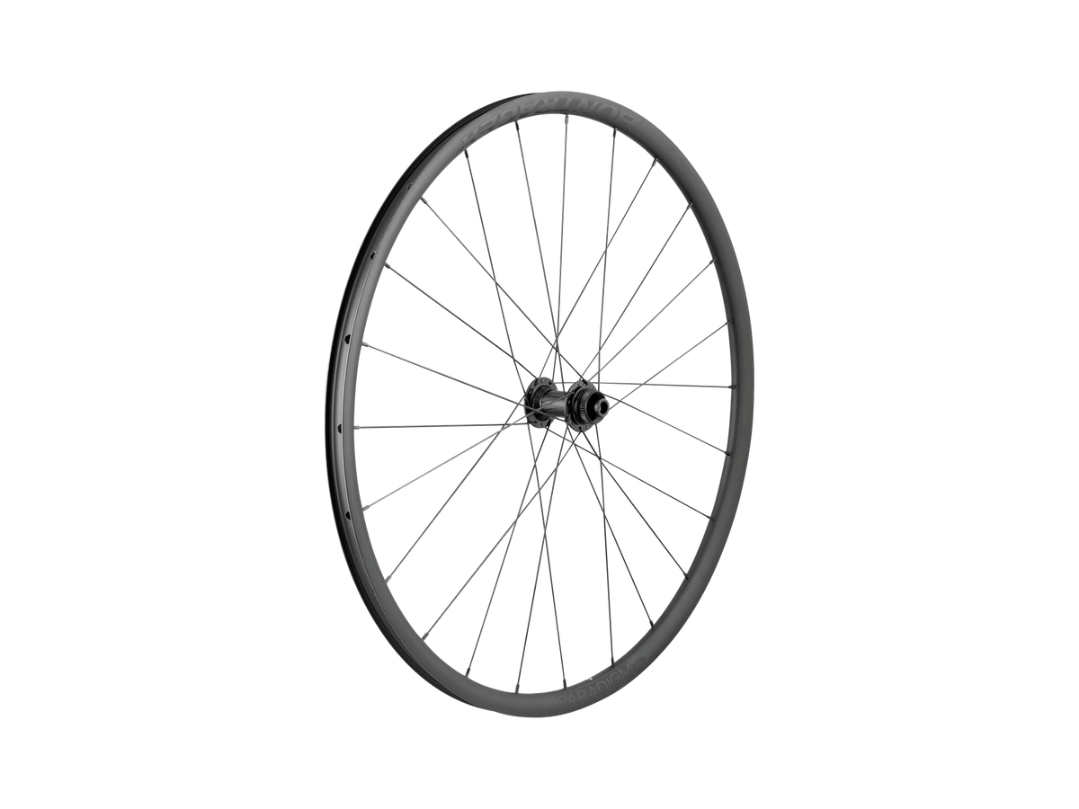 Roue Paradigm SL Centerlock Disc 24H Silver Nipples 700c
