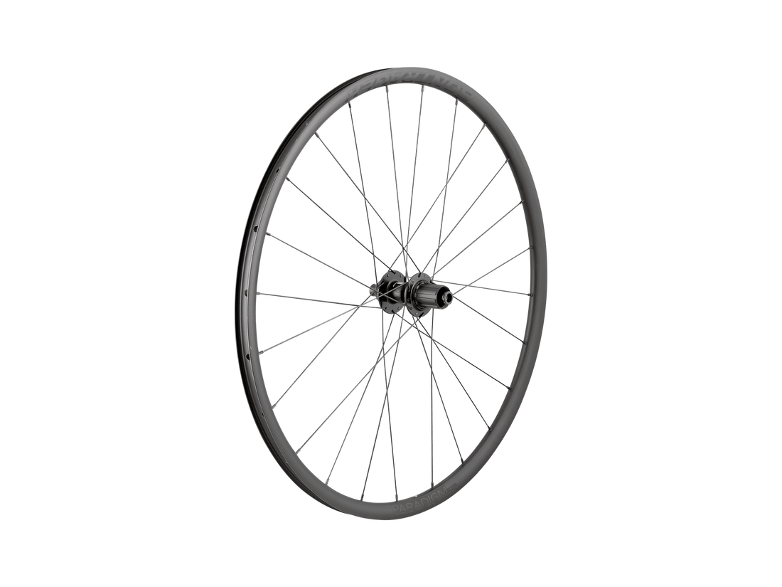 Roue Paradigm SL Centerlock Disc 24H Silver Nipples 700c