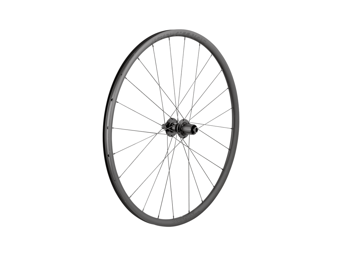 Roue Paradigm SL Centerlock Disc 24H Silver Nipples 700c