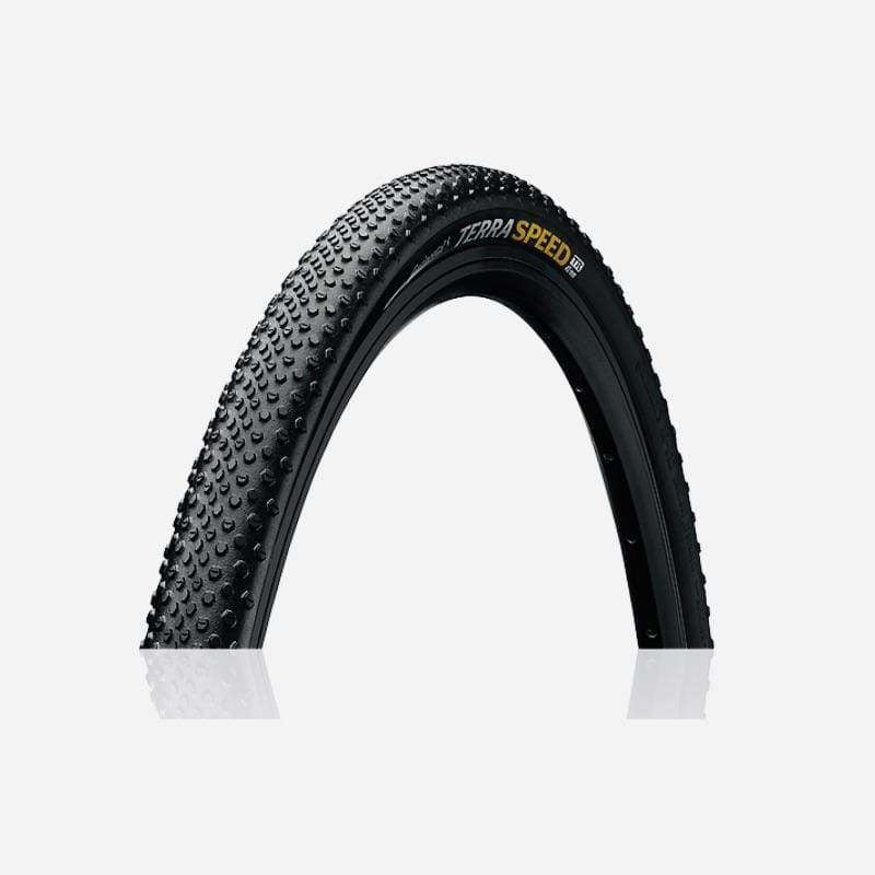 Pneu Gravel Terra Speed ProTection Tire