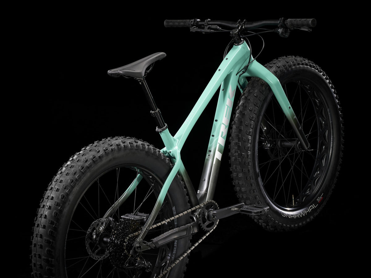 Farley 5,  Fat Bike