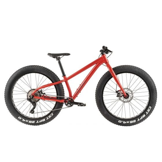 Big Will Fat bike junior 26"