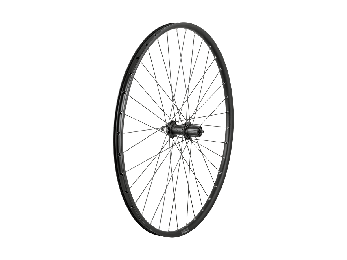 Roue 700c Jante Alex DP23/TX505 Moyeu Shimano Quick release